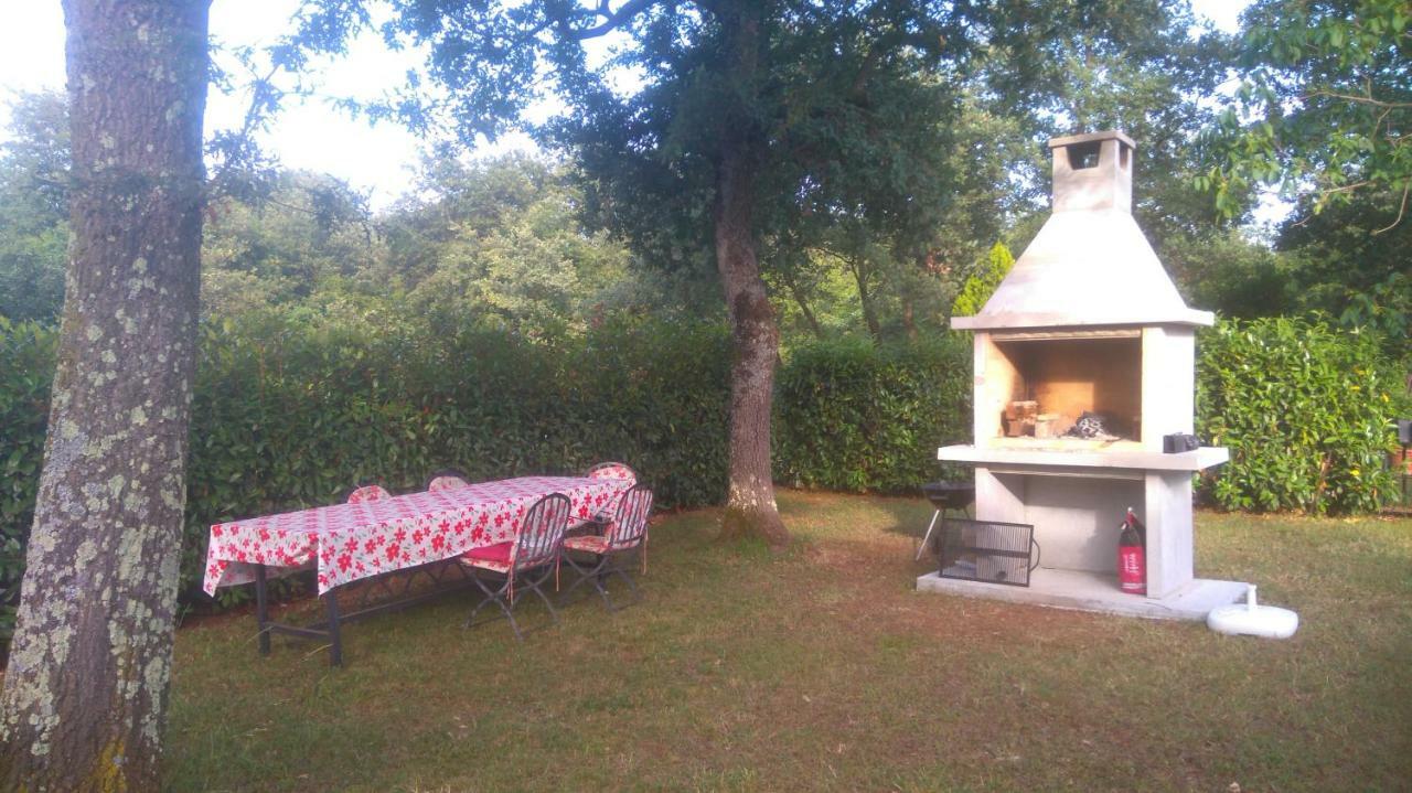 Apartament Bauk *
