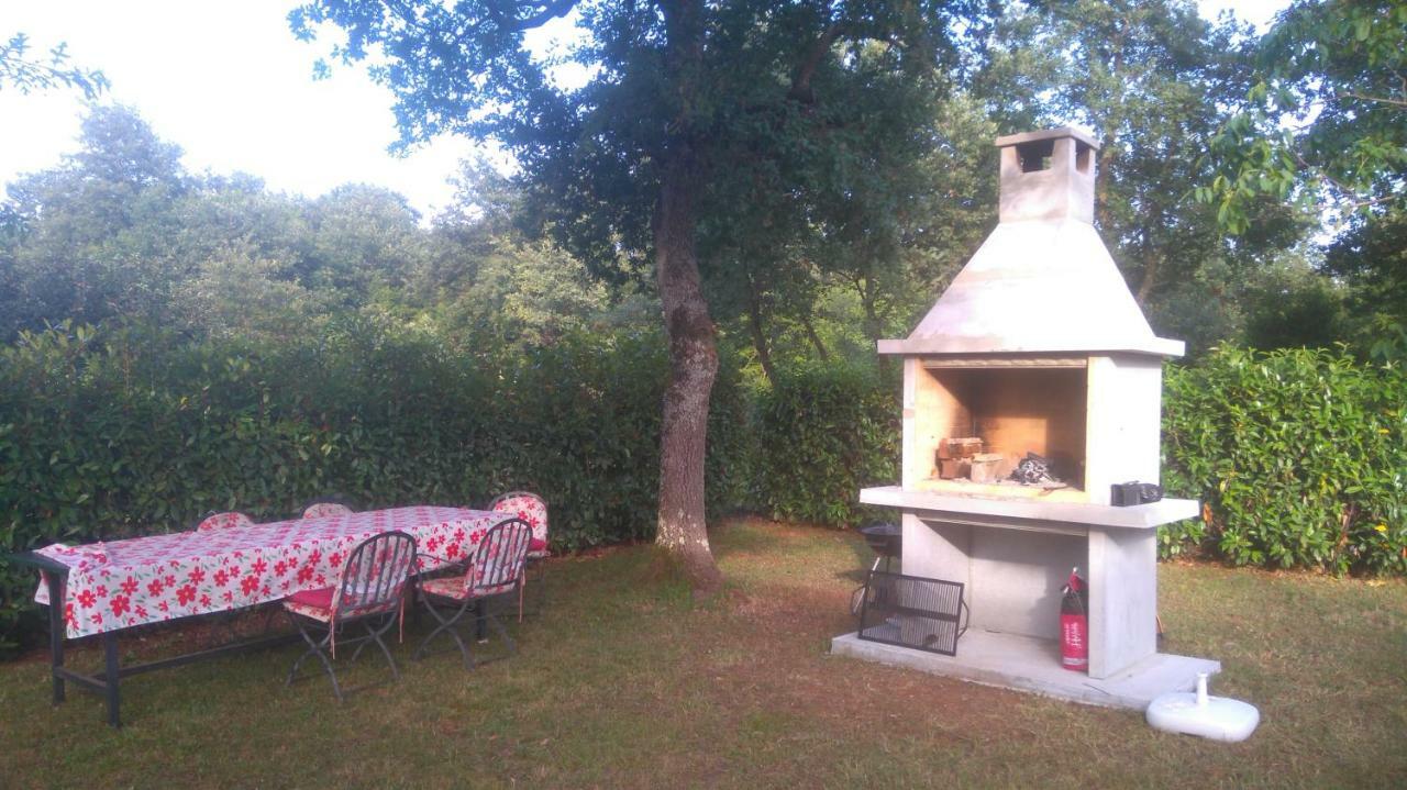 Bauk Apartmán Porec